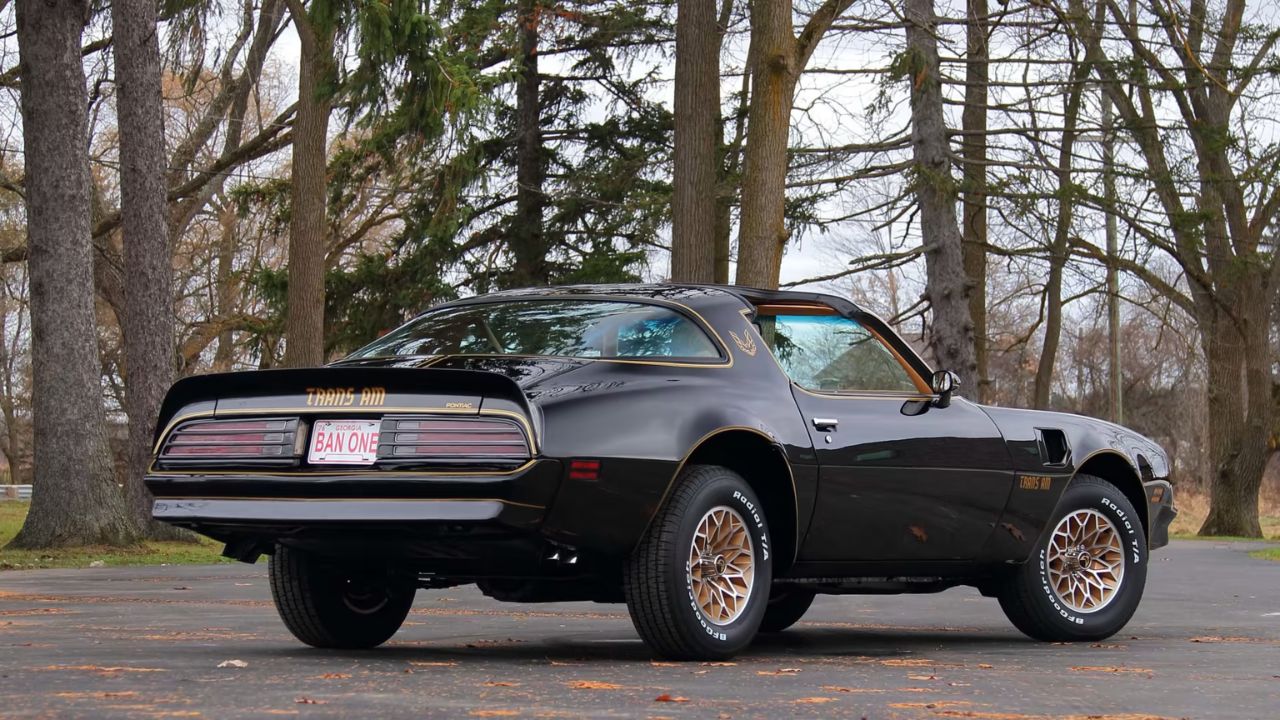 1977 Trans Am SE Rear