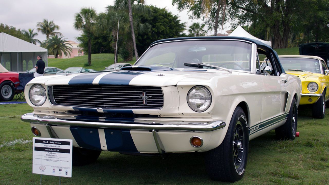 1966 Ford Mustang Shelby GT350