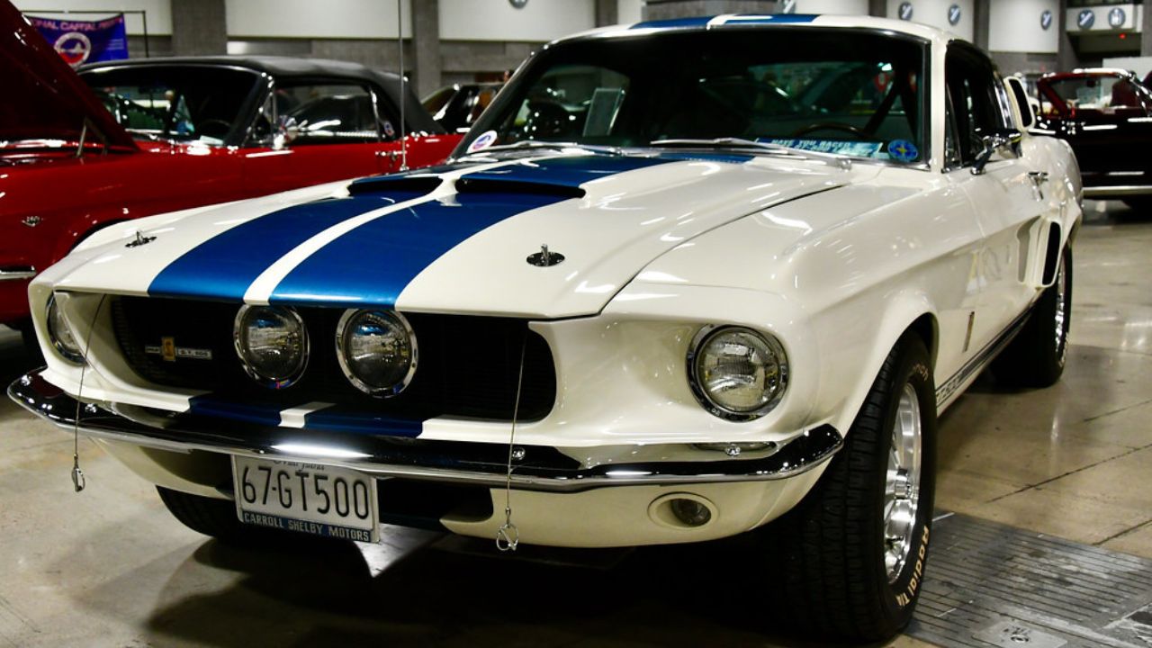 1967 Shelby GT500 in White and Blue