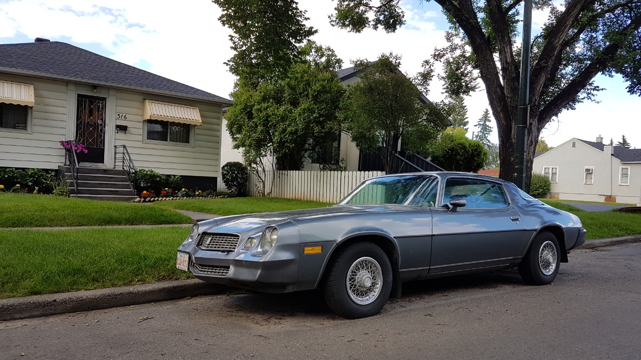 Image Credit: dave_7 from Canada - CC BY 2.0/Wiki Commons