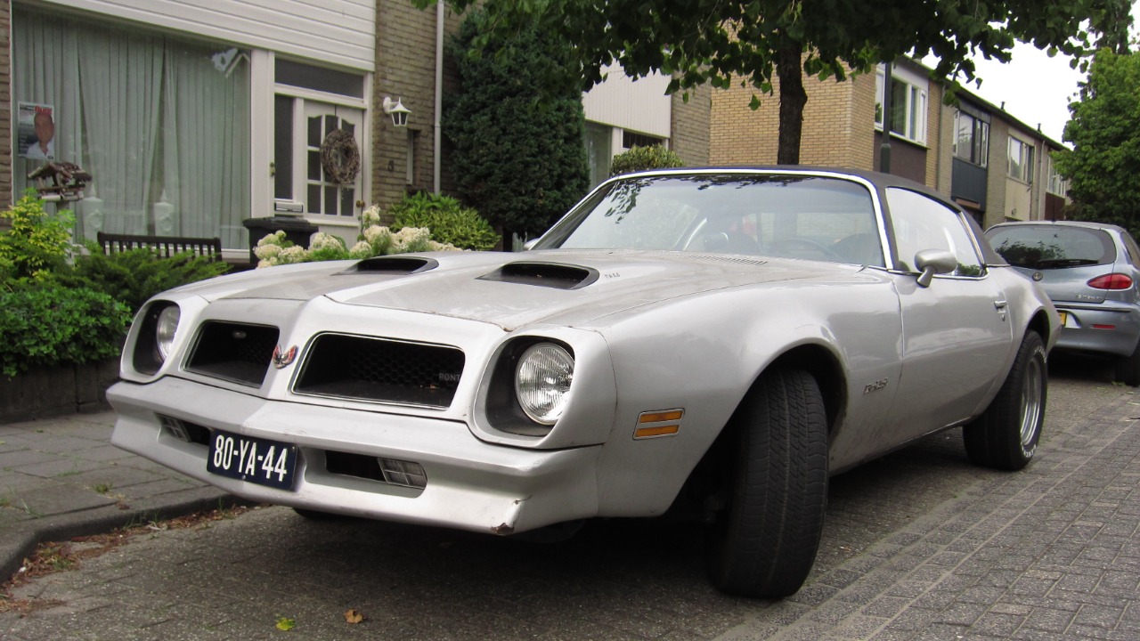 Image Credit: Rutger van der Maar - CC BY 2.0/Wiki Commons