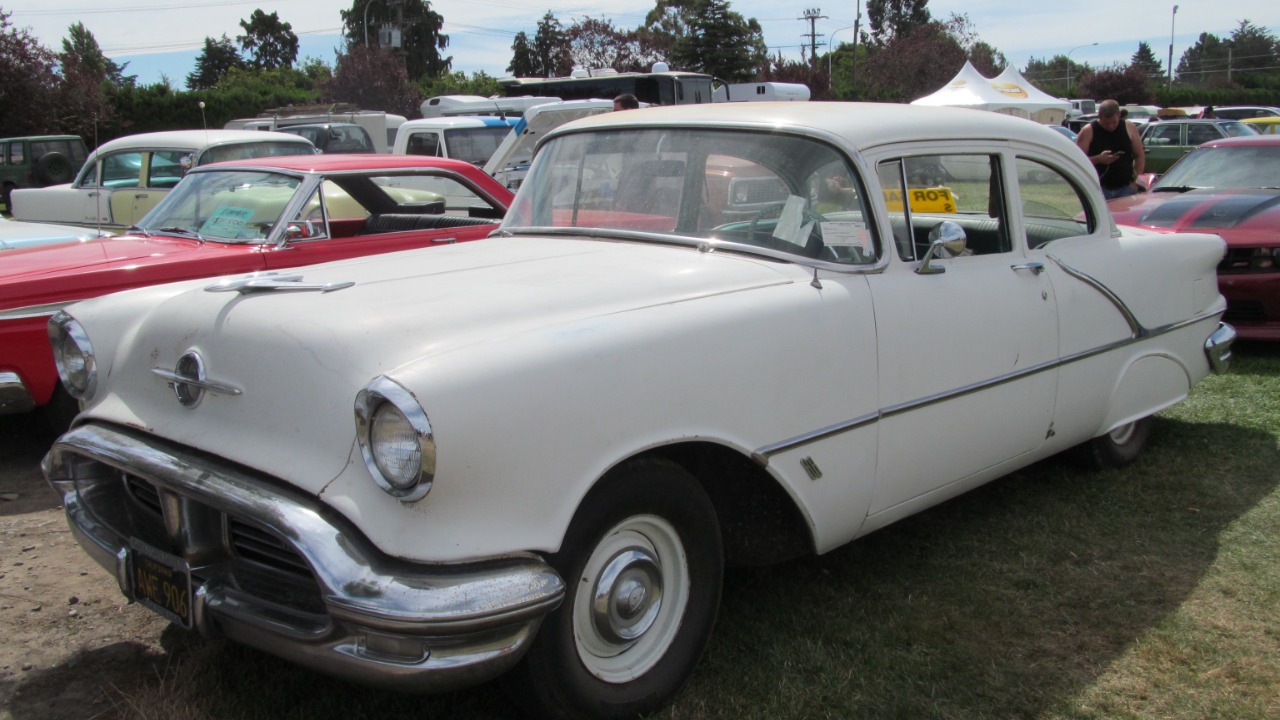 Image Credit: Riley from Christchurch, New Zealand - CC BY 2.0/Wiki Commons