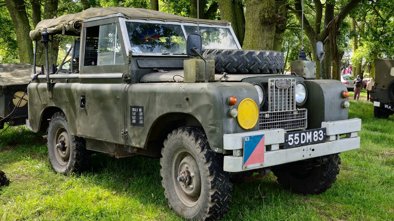 Image Credit: Calreyn88 - CC BY-SA 4.0/Wiki Commons