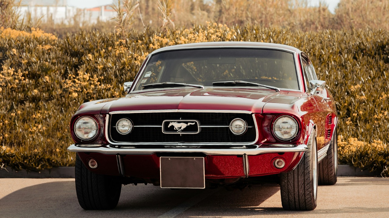 tiago_f_ferreira/Unsplash