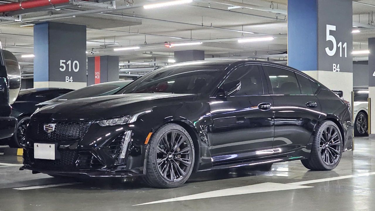 Image Credit: Damian B Oh - CC BY-SA 4.0/Wiki Commons