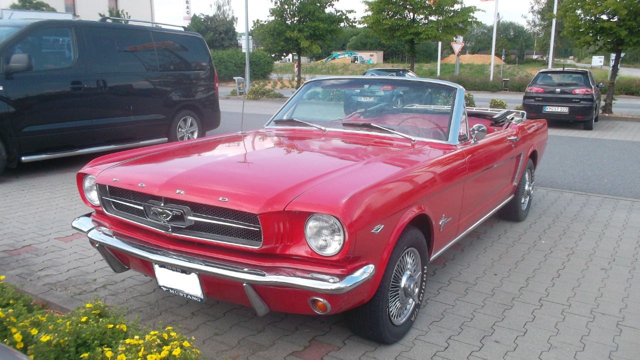 Image Credit: Fiver, der Hellseher - CC BY-SA 4.0/Wiki Commons