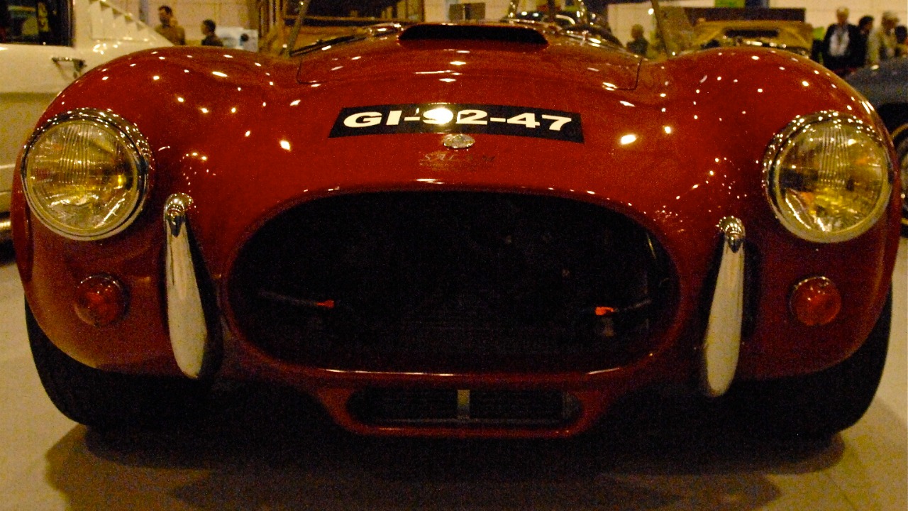 Image Credit: Pedro Ribeiro Simões from Lisboa, Portugal - CC BY 2.0/Wiki Commons