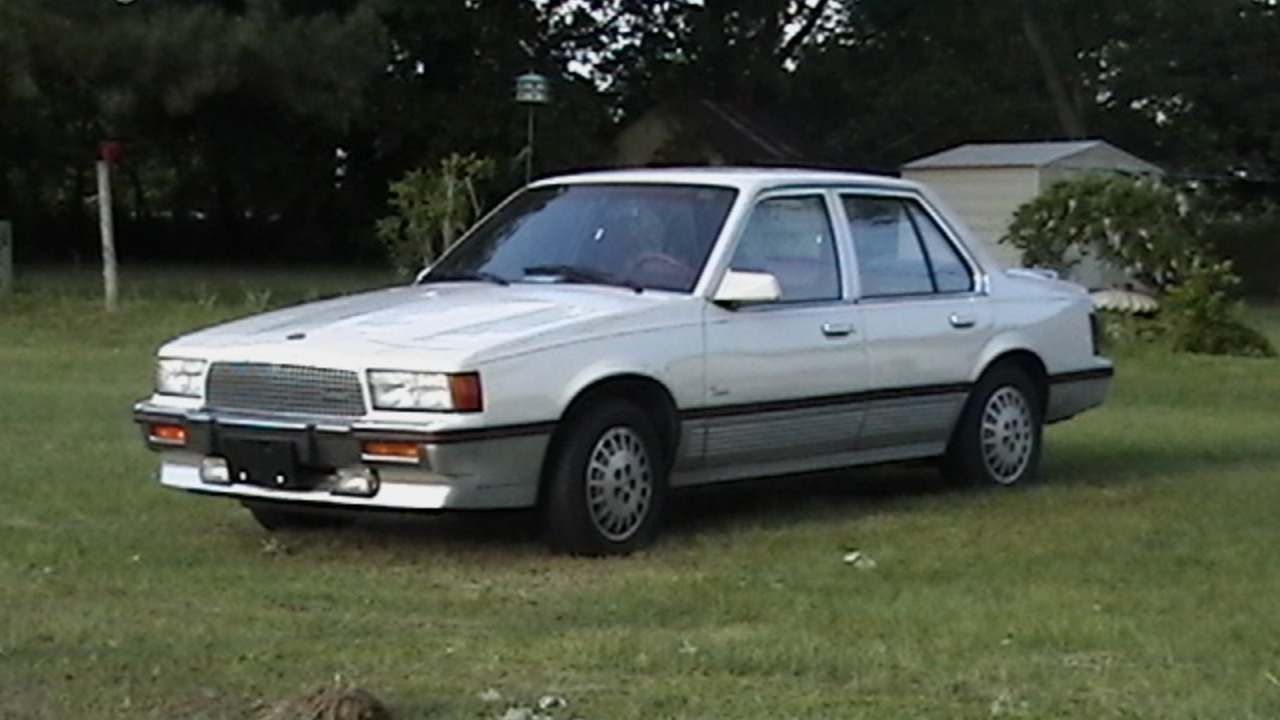 Image Credit: Dustin W. Adams - Public domain/Wiki Commons