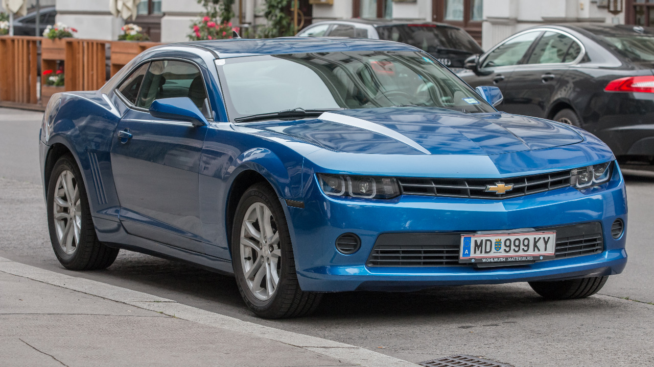 Image Credit: Johannes Maximilian - CC BY-SA 4.0/Wiki Commons