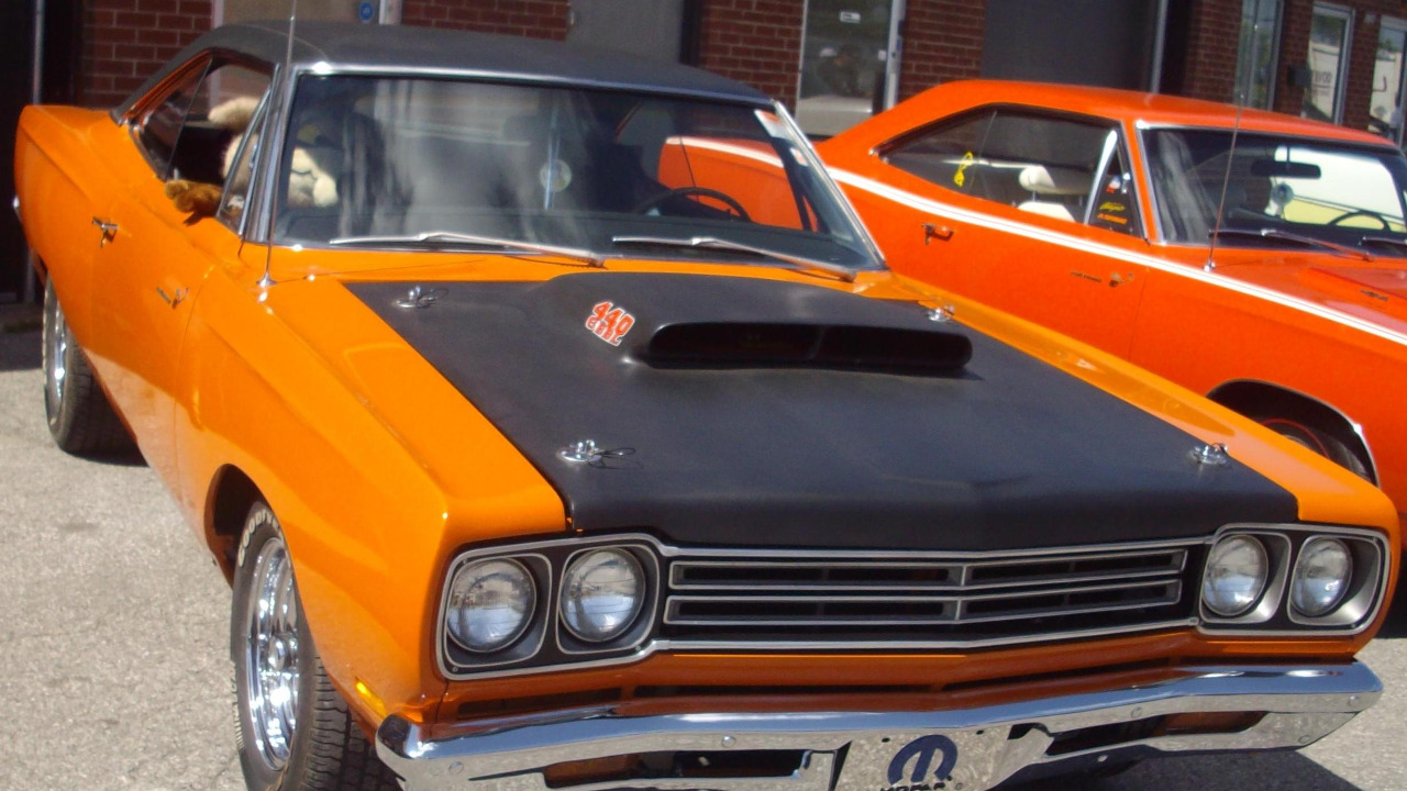 Image Credit: Bull-Doser at English Wikipedia - Public domain/Wiki Commons