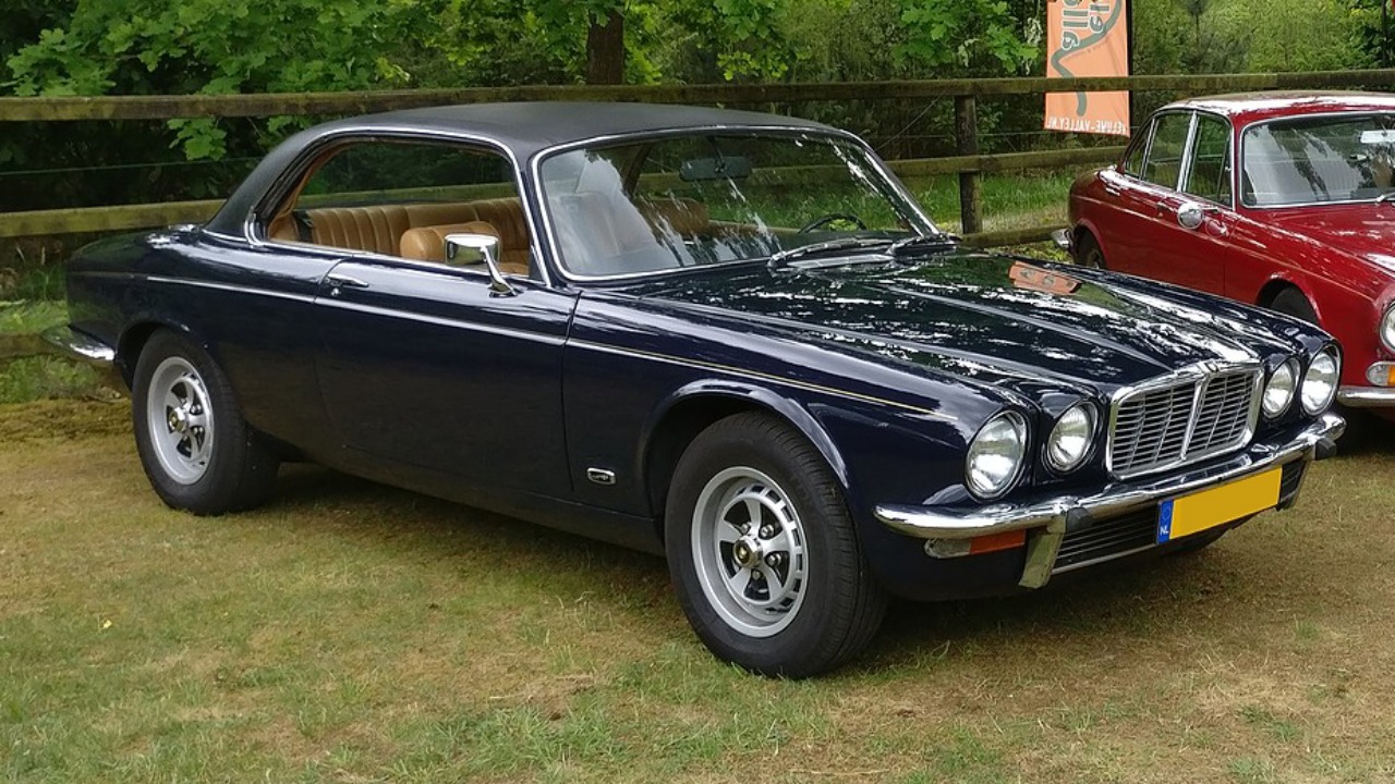 Image Credit: Steven Leussink - CC0/Wiki Commons