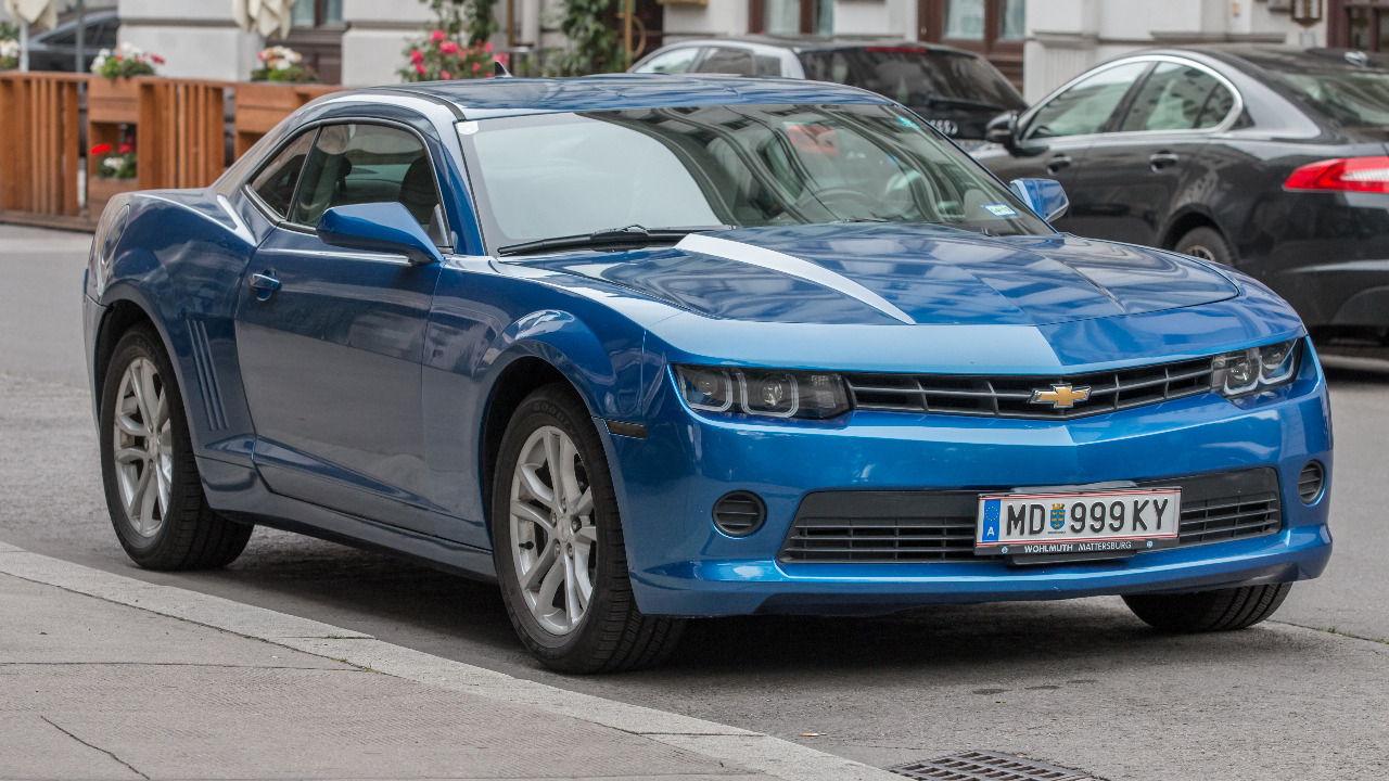 Image Credit: Johannes Maximilian - CC BY-SA 4.0/Wiki Commons