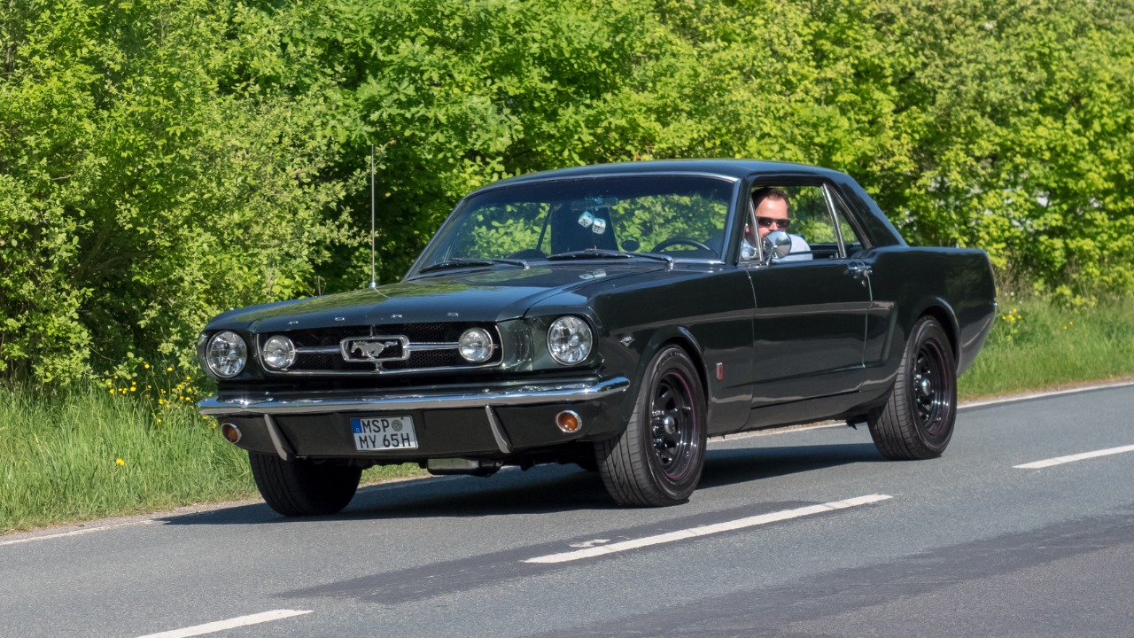 Image Credit: Ermell - CC BY-SA 4.0/Wiki Commons