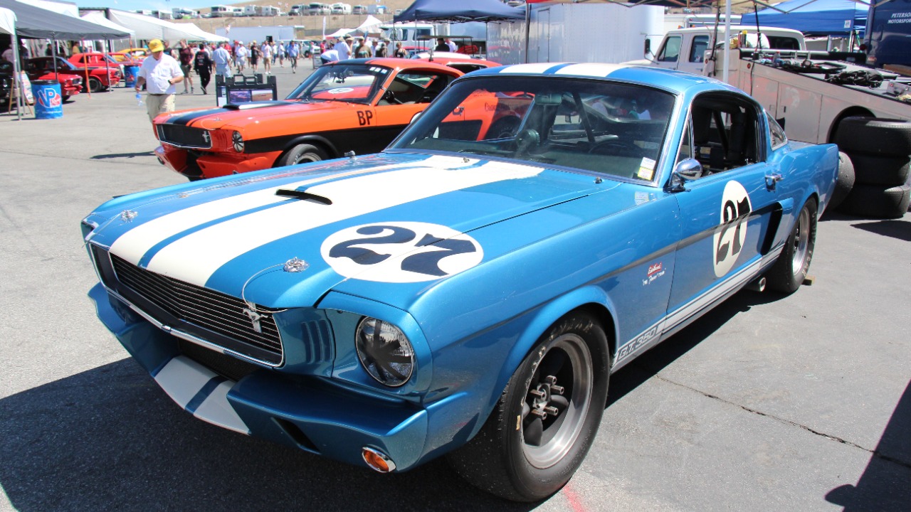 Image Credit: Sicnag - CC BY 2.0/Wiki Commons