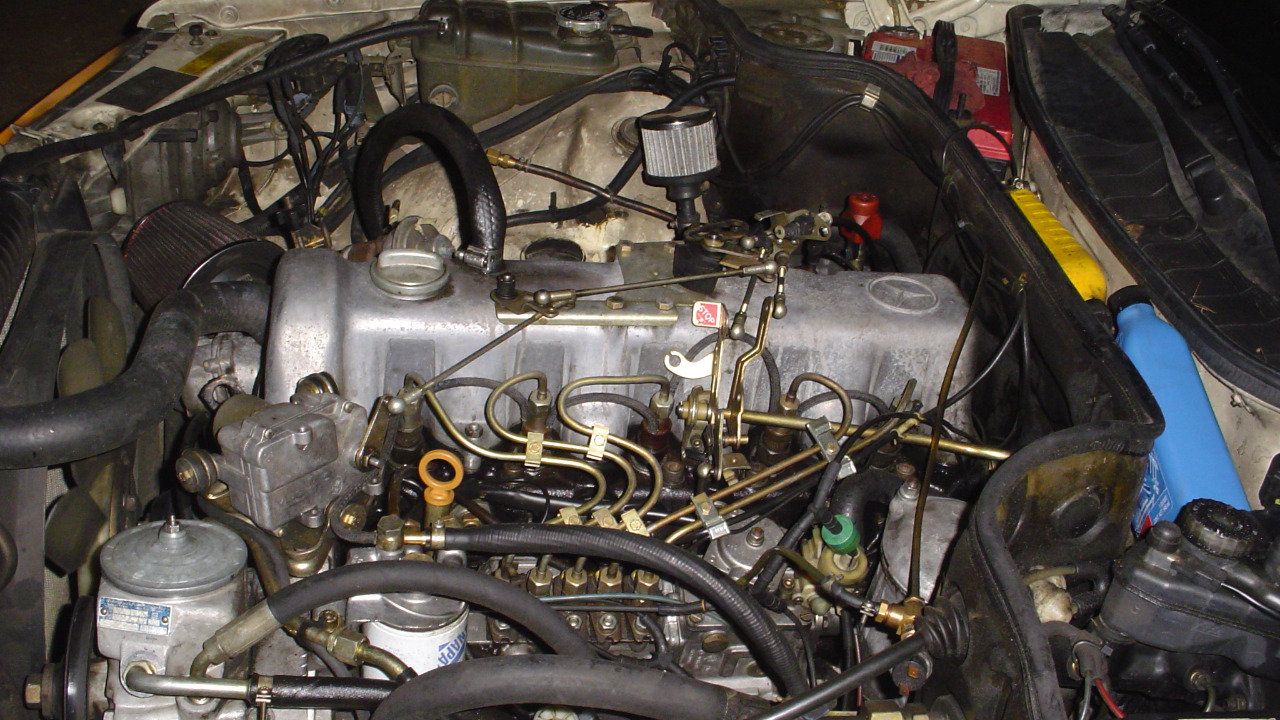 Image Credit: Sirnik at English Wikipedia - Public domain/Wiki Commons