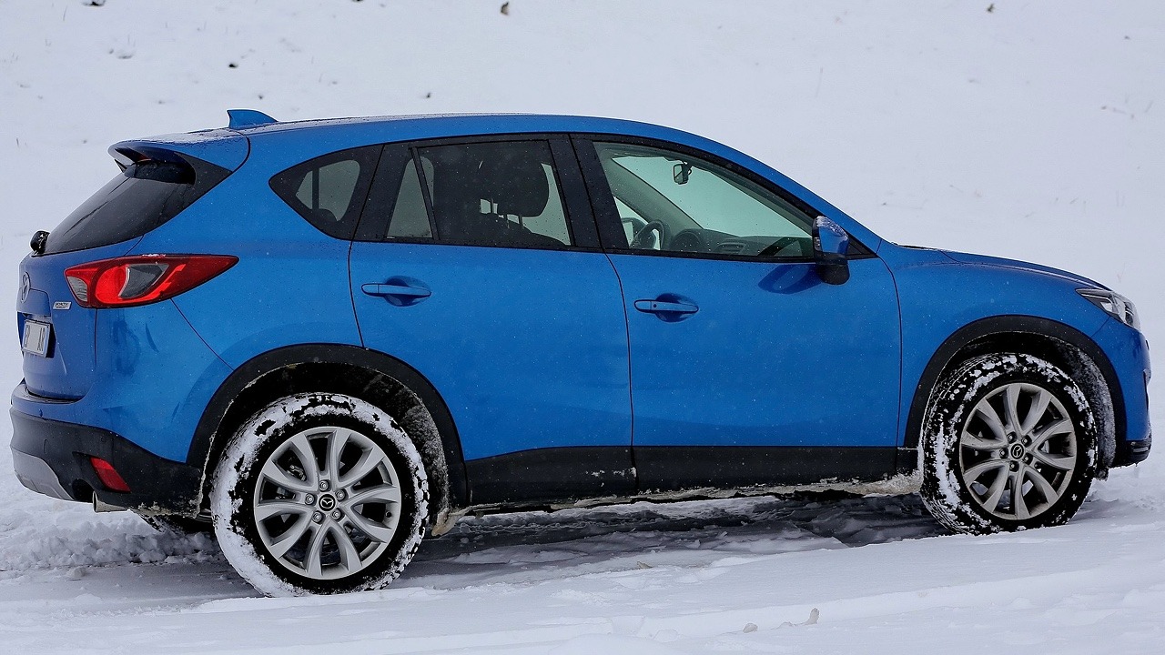 Image Credit: taymtaym – OKIMG_1124, CC BY 2.0/Wiki Commons.
