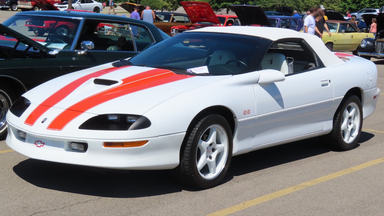 Image Credit: MercurySable99 - CC BY-SA 4.0/Wiki Commons