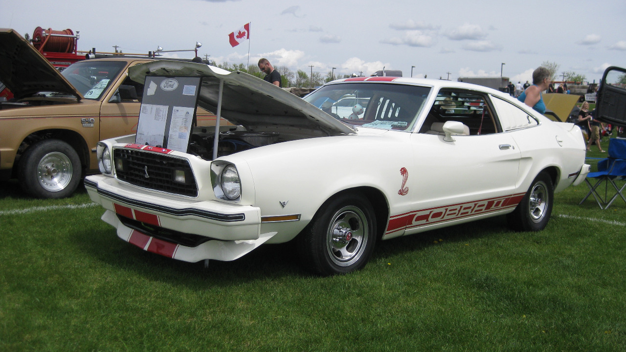 Image Credit: dave_7 from Lethbridge, Canada - CC BY 2.0/Wiki Commons