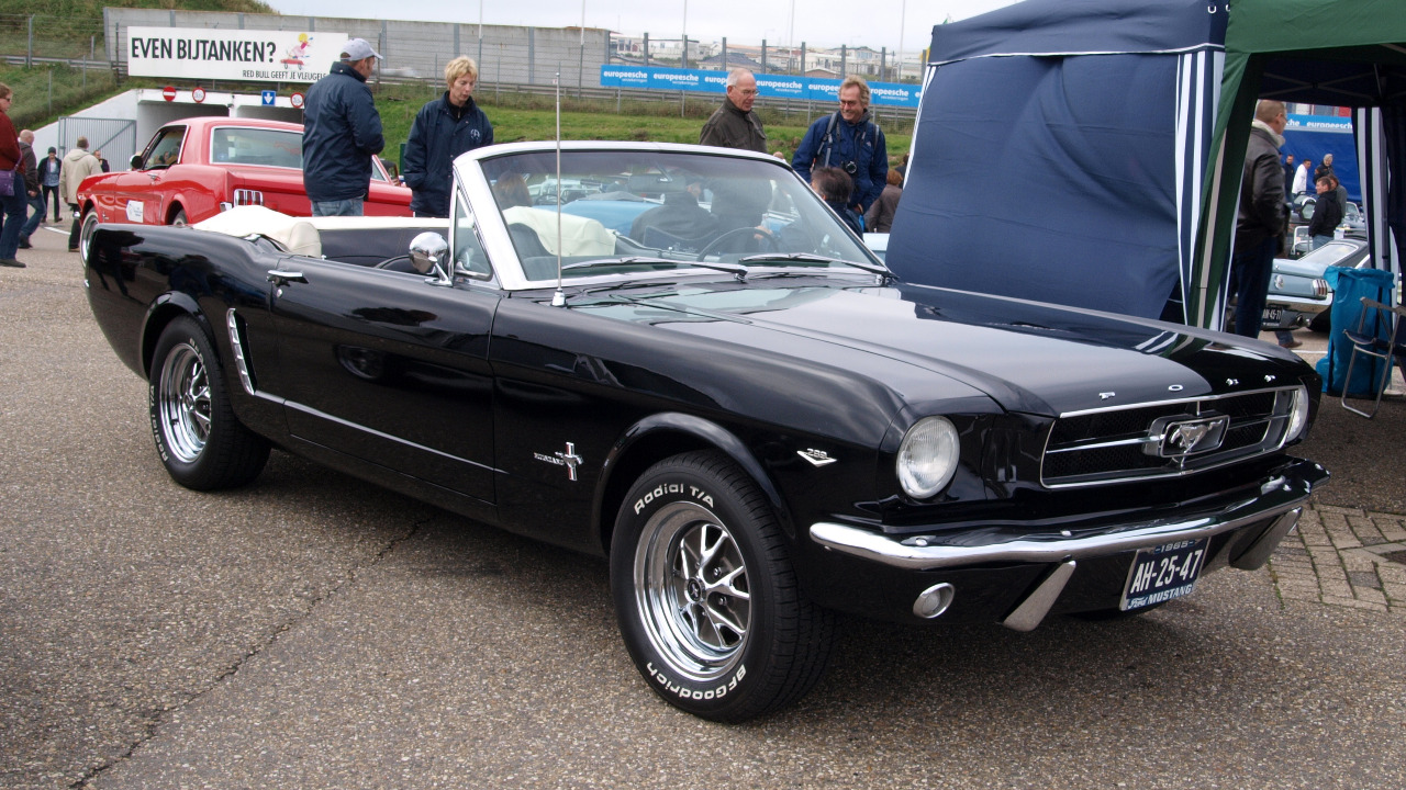 Image Credit: Alf van Beem - CC0/Wiki Commons