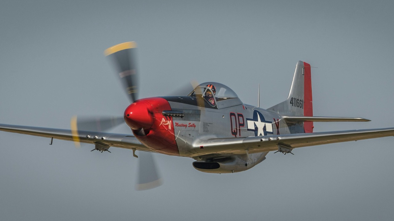North American P-51 Mustangs still around