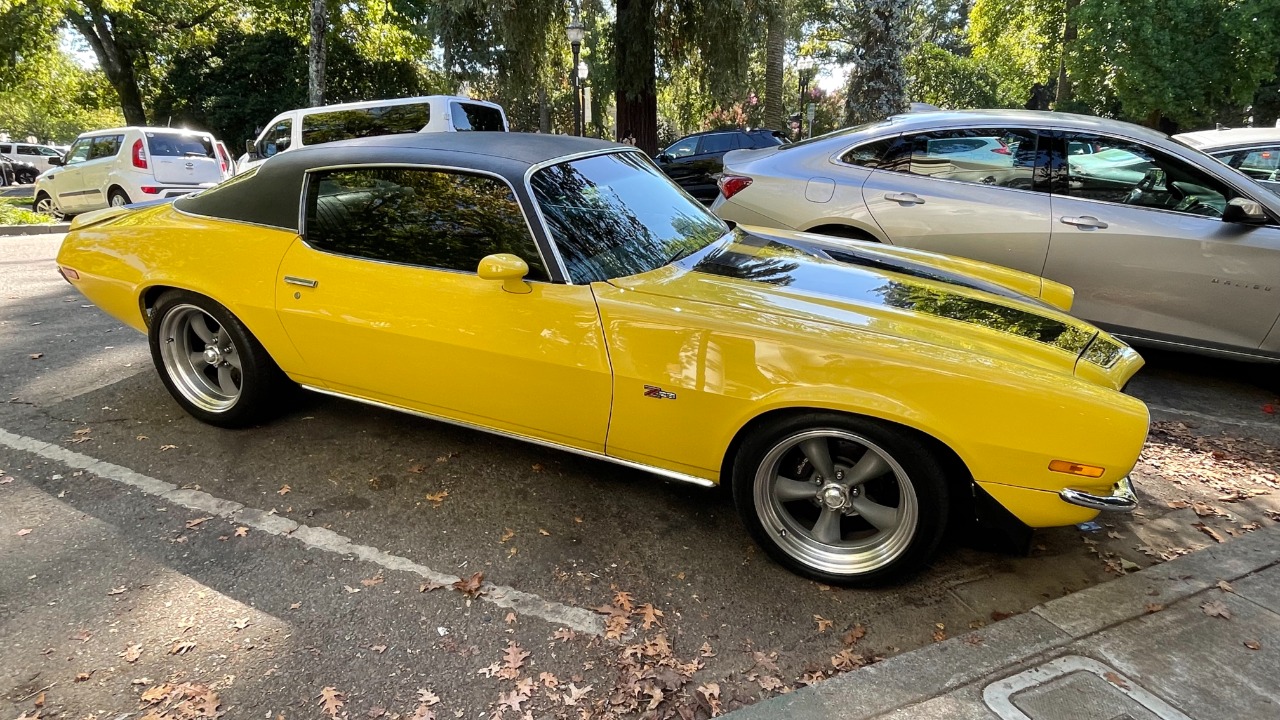 Image Credit: Missvain - CC BY 4.0/Wiki Commons