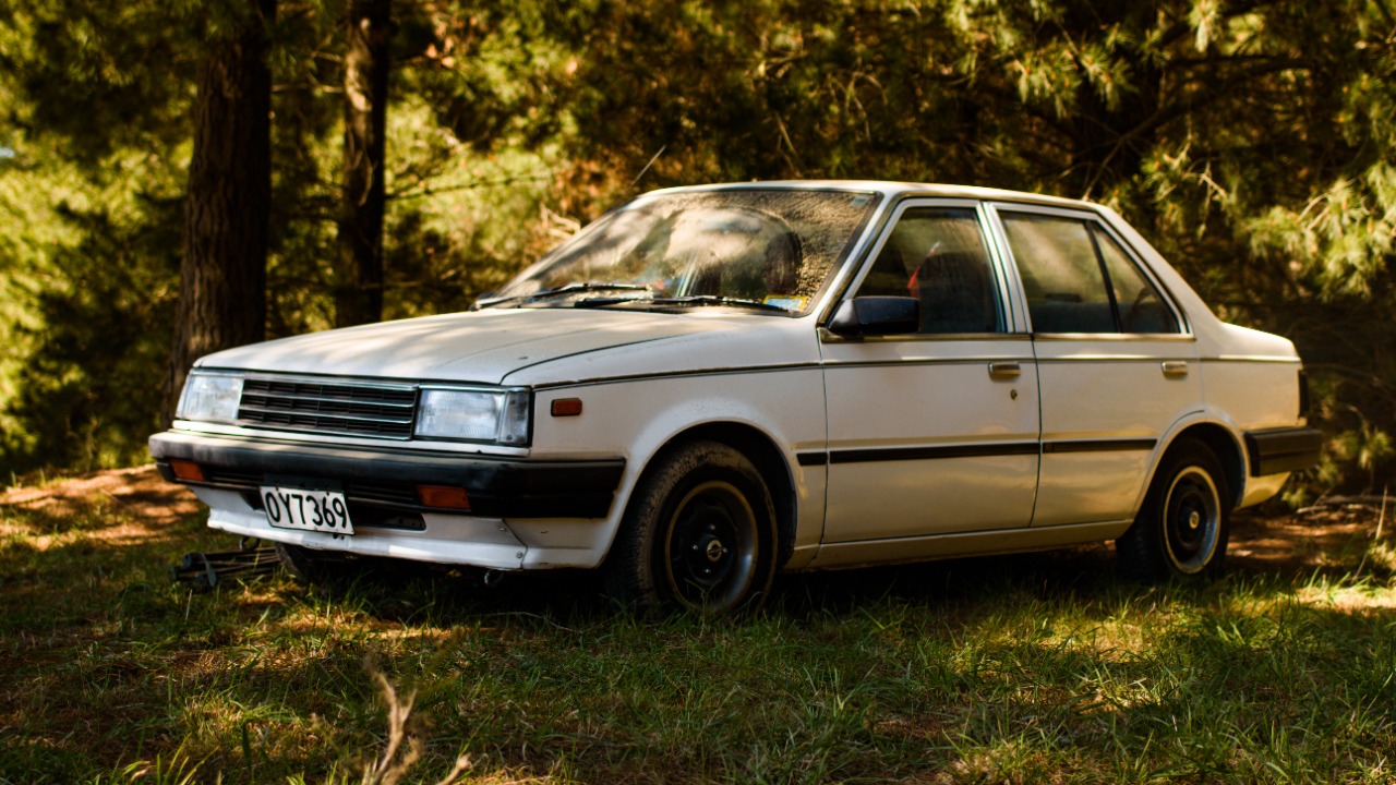 Image Credit: SealyPhoto - CC BY-SA 4.0/Wiki Commons