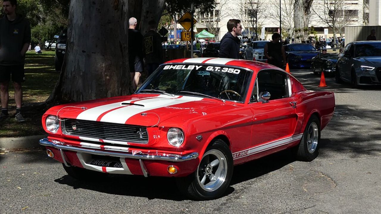 1966 Shelby GT350