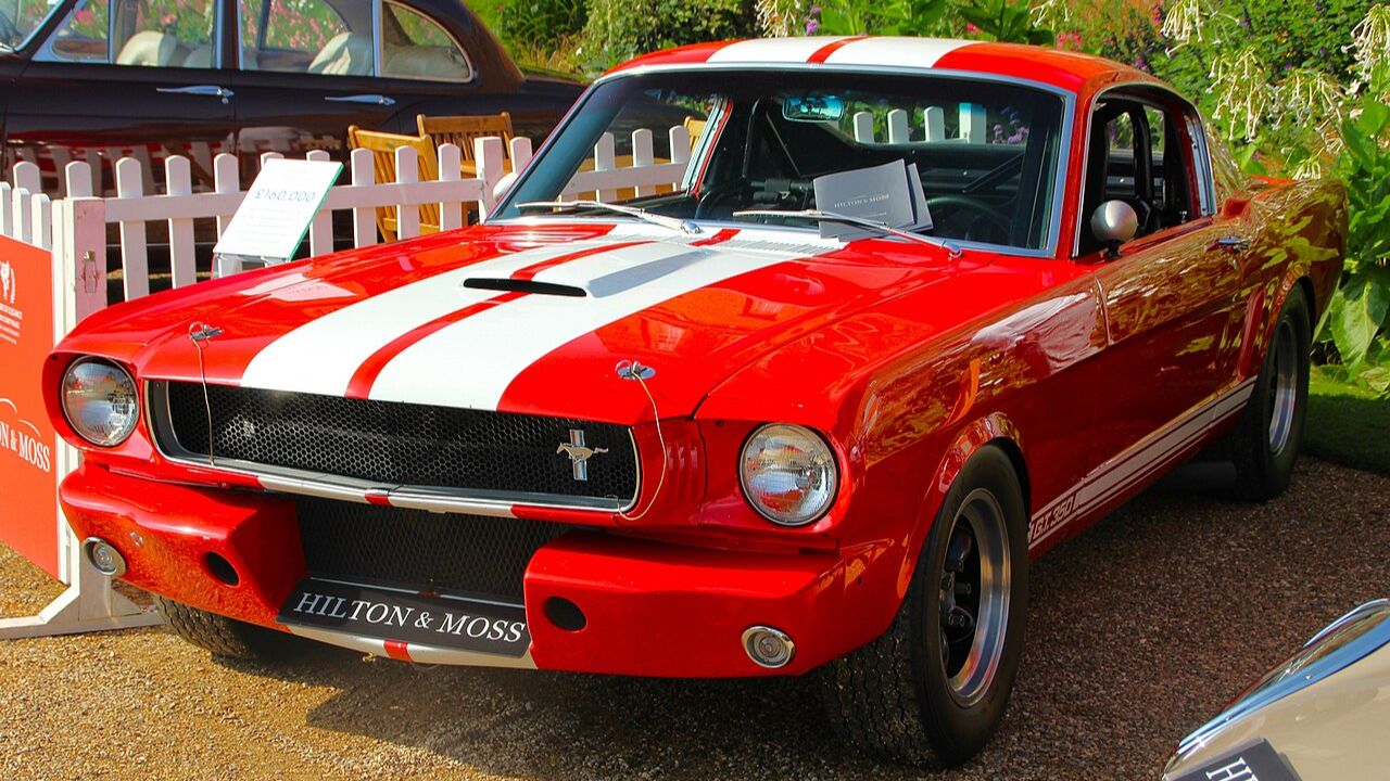 The 1966 Shelby GT350 that was all go, no show