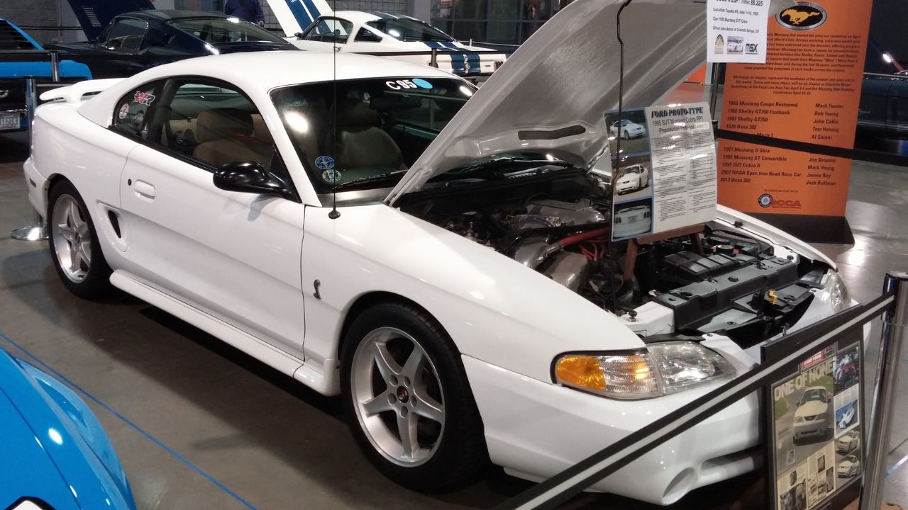 1995 Ford Mustang Cobra R