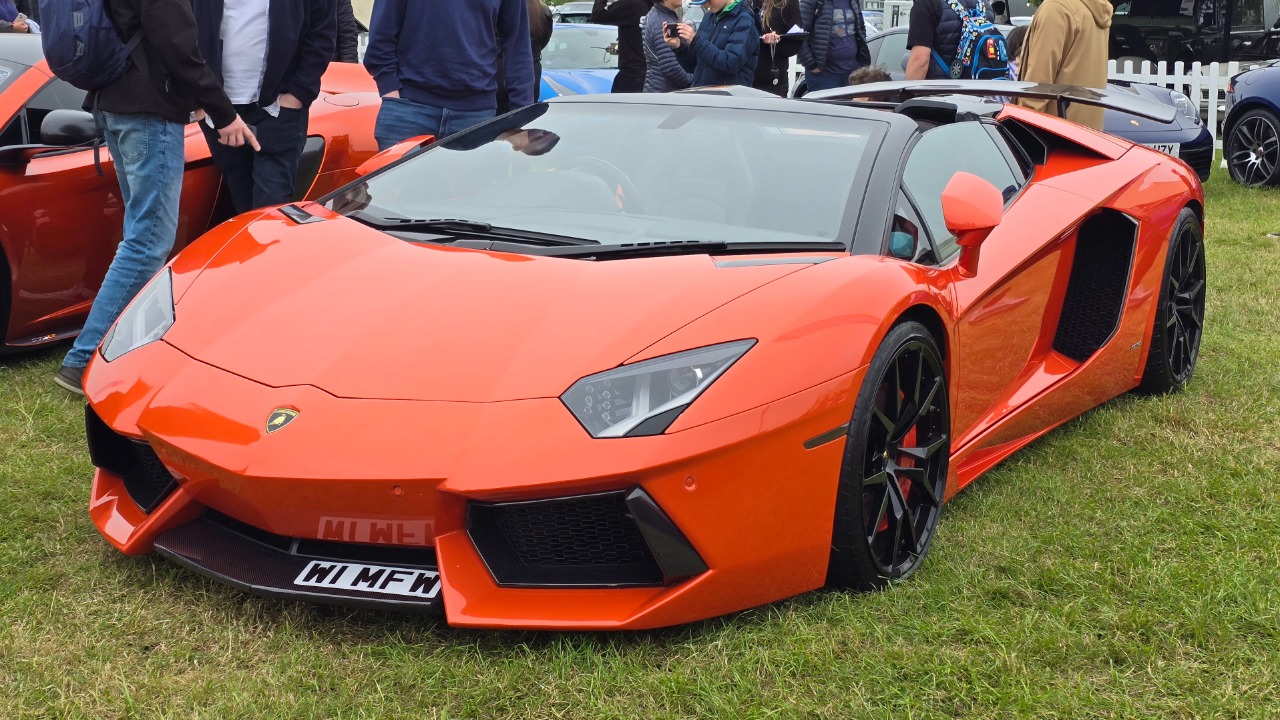 Image Credit: Calreyn88 - CC BY-SA 4.0/Wiki Commons