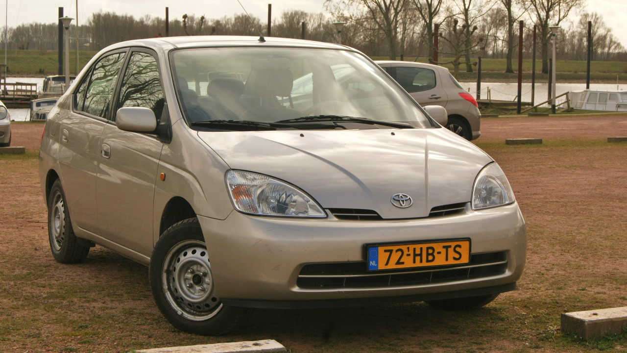 Image Credit: Niels de Wit from Lunteren, The Netherlands - CC BY 2.0/Wiki Commons