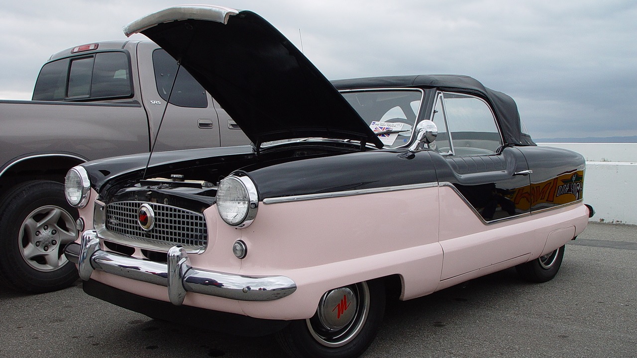 Image Credit: Craig Howell - CC BY 2.0/Wiki Commons