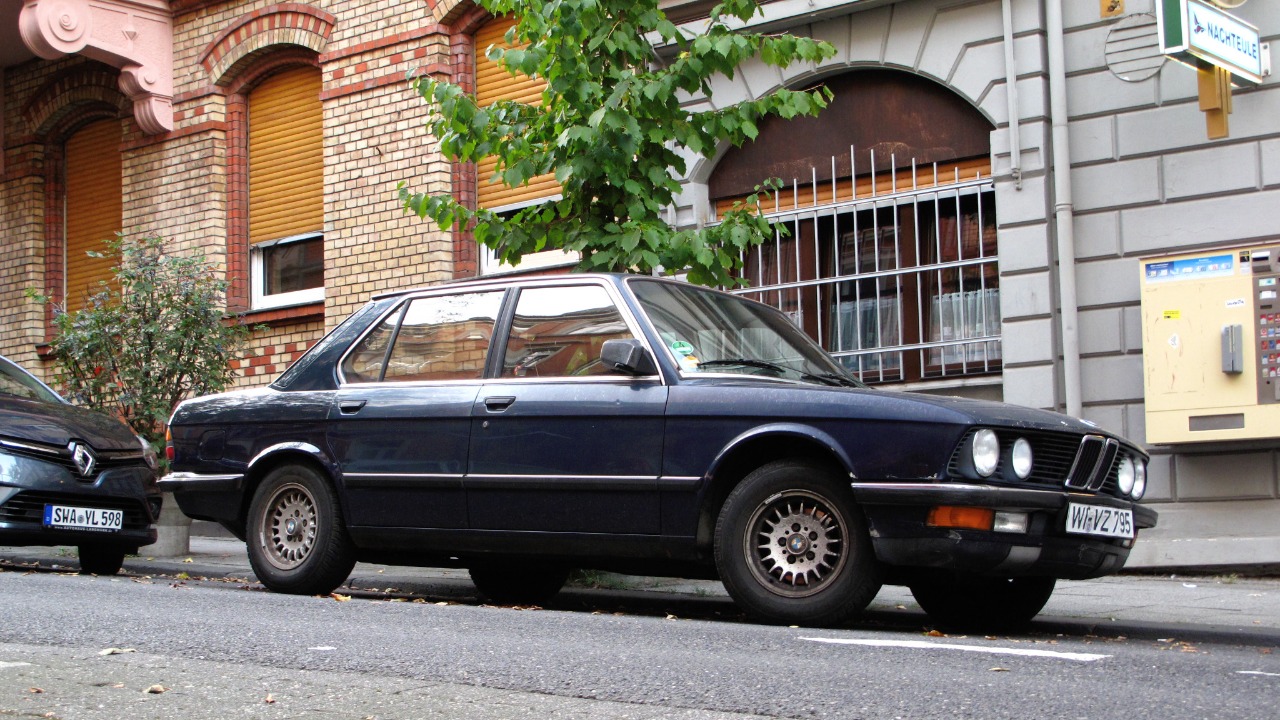 Image Credit: Rutger van der Maar - CC BY 2.0/Wiki Commons