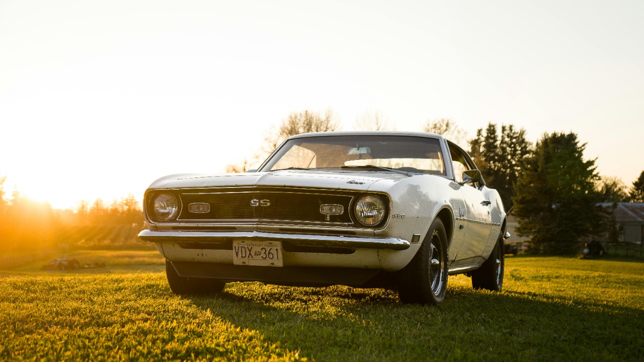 1968 camaro z/28 buying guide for today’s market