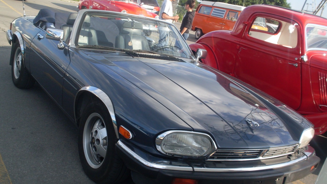 Image Credit: Bull-Doser - Public domain/Wiki Commons