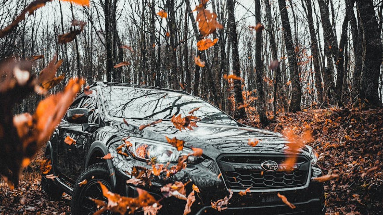 A Subaru SUV drives through a leaf-laden forest in autumn, epitomizing adventure and off-road capability.