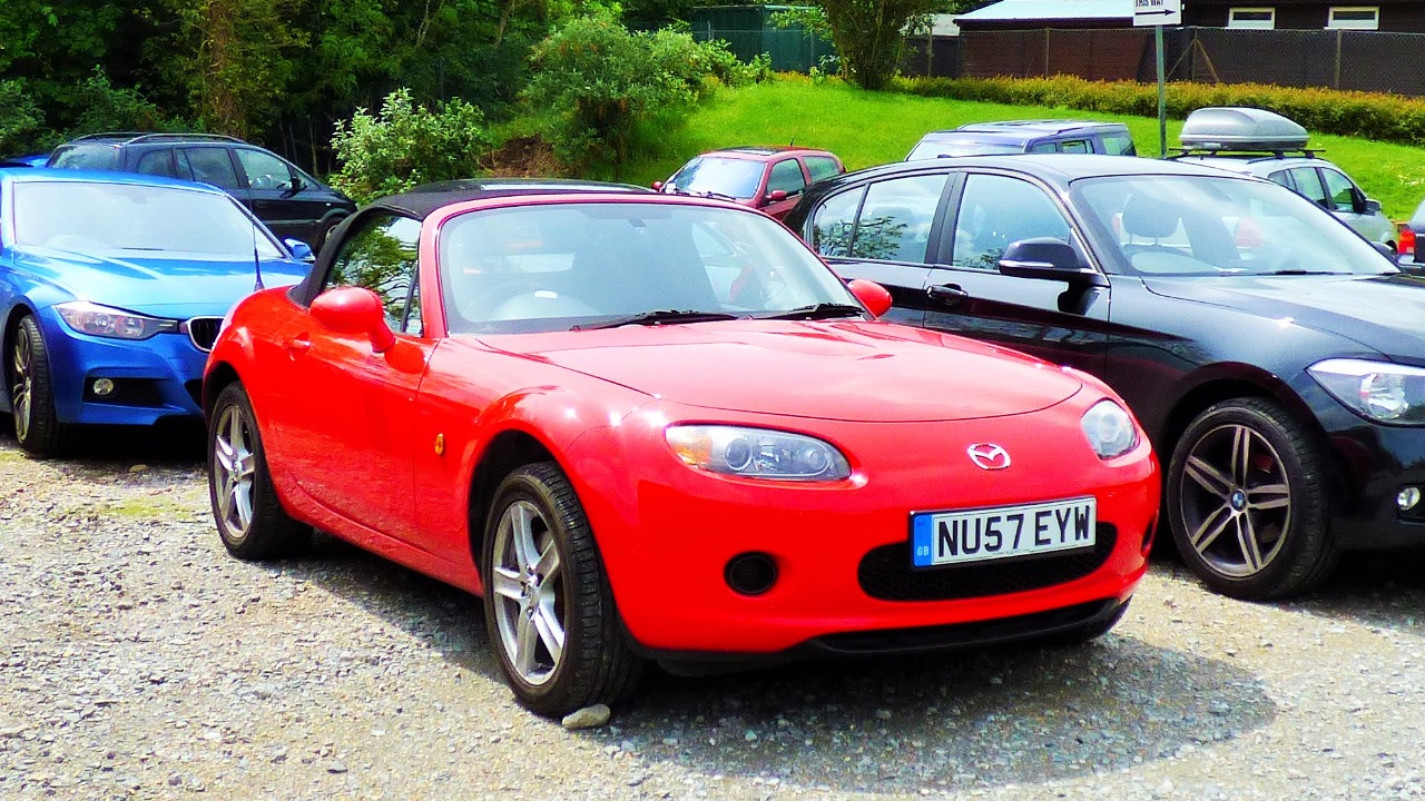 Image Credit: grassrootsgroundswell - CC BY 2.0/Wiki Commons