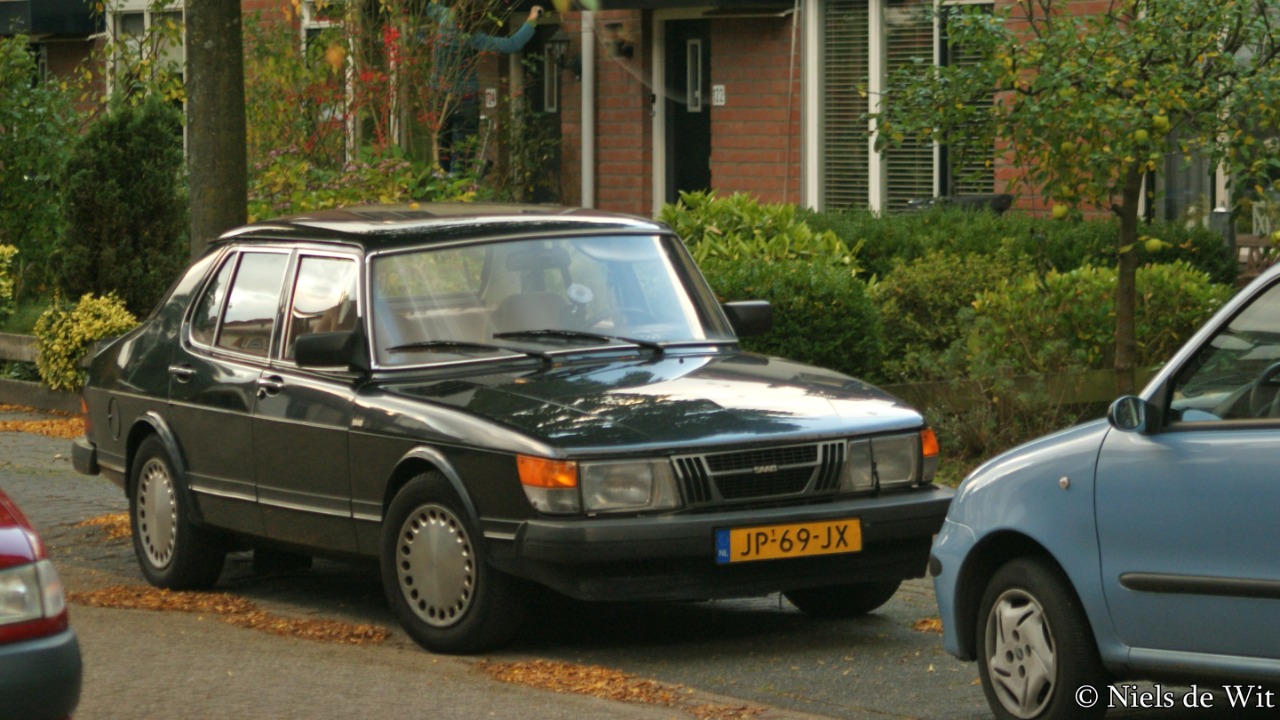 Image Credit: Niels de Wit from Lunteren, The Netherlands - CC BY 2.0/Wiki Commons