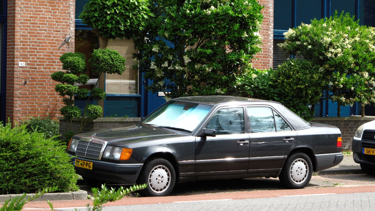 Image Credit: Rutger van der Maar - CC BY 2.0/Wiki Commons