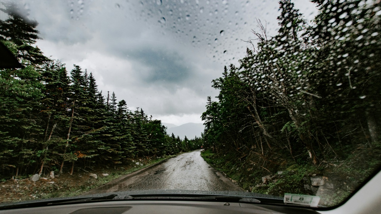 kellysikkema/Unsplash