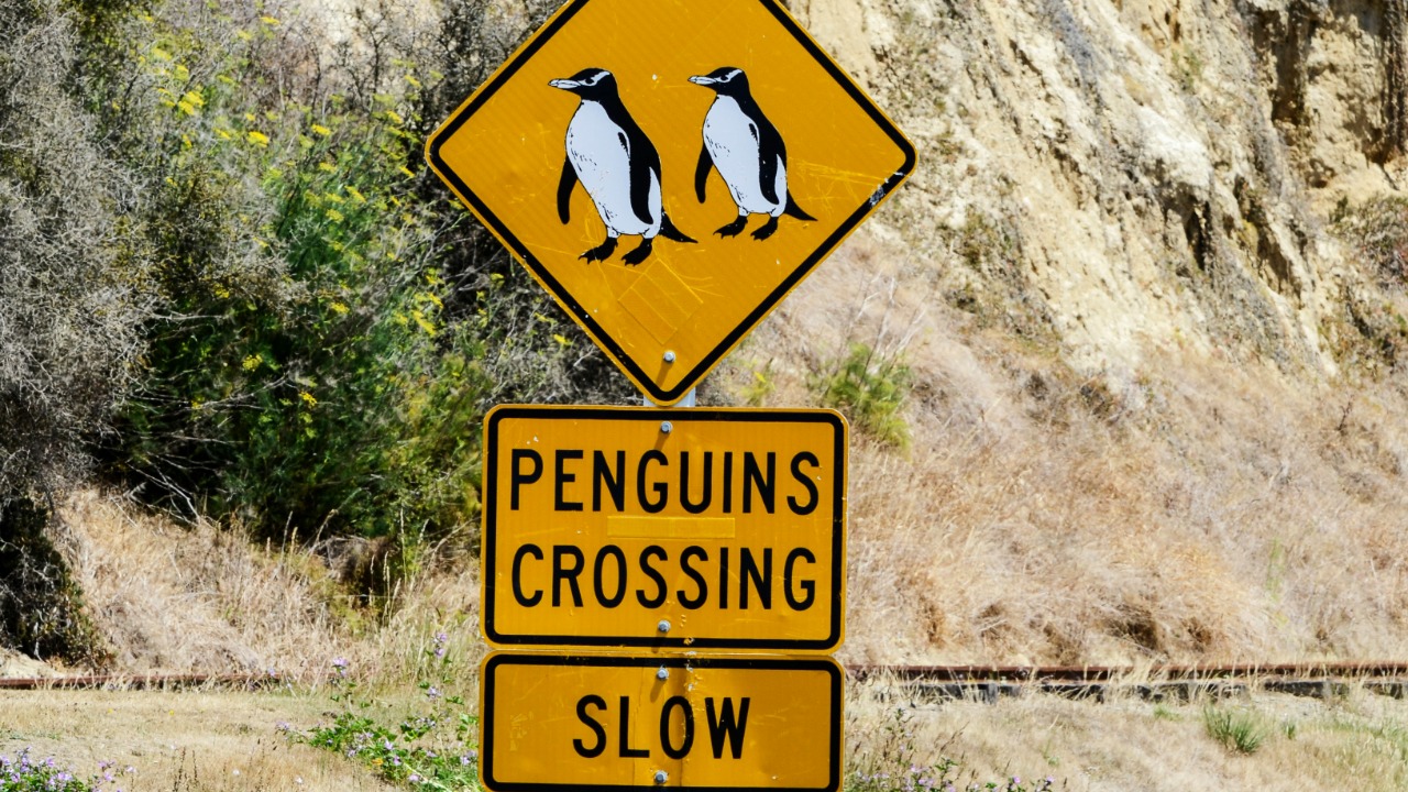 aleza_design/Unsplash