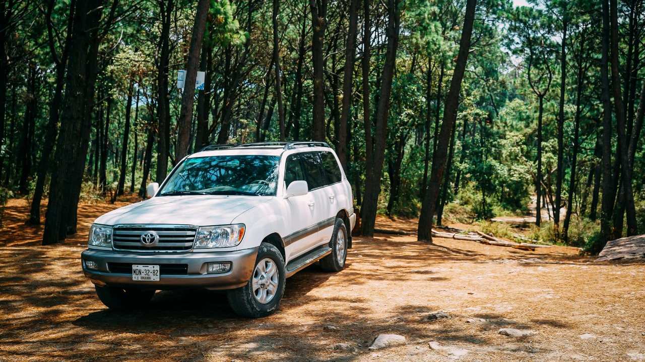 Ricky Esquivel/Pexels