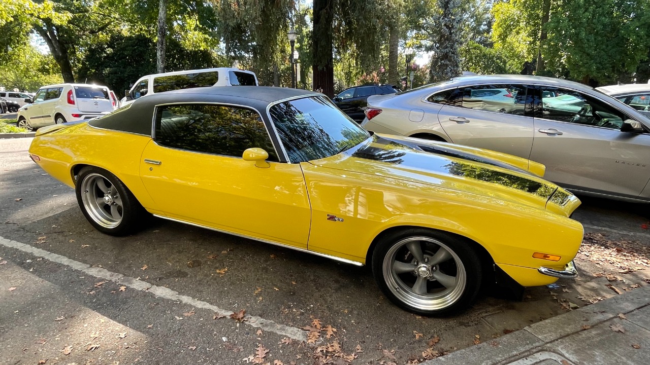 Image Credit: Missvain - CC BY 4.0/Wiki Commons