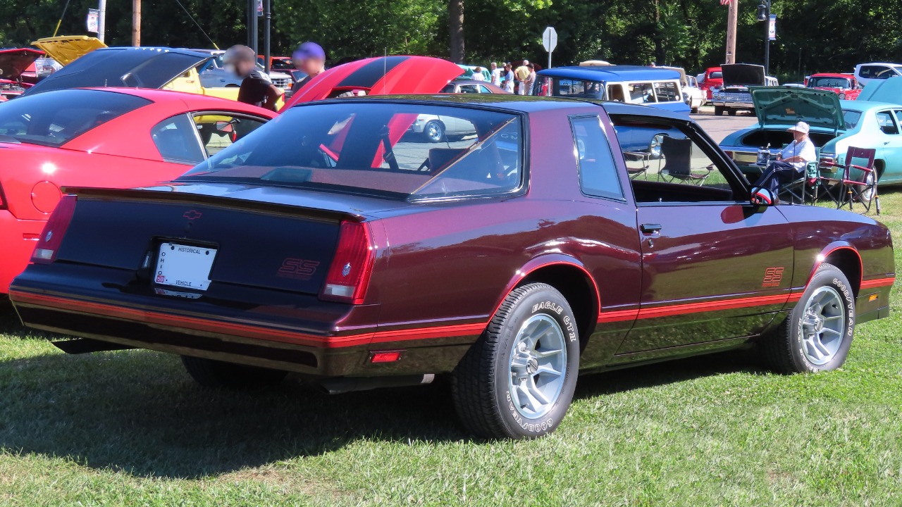 Image Credit: MercurySable99 - CC BY-SA 4.0/Wiki Commons