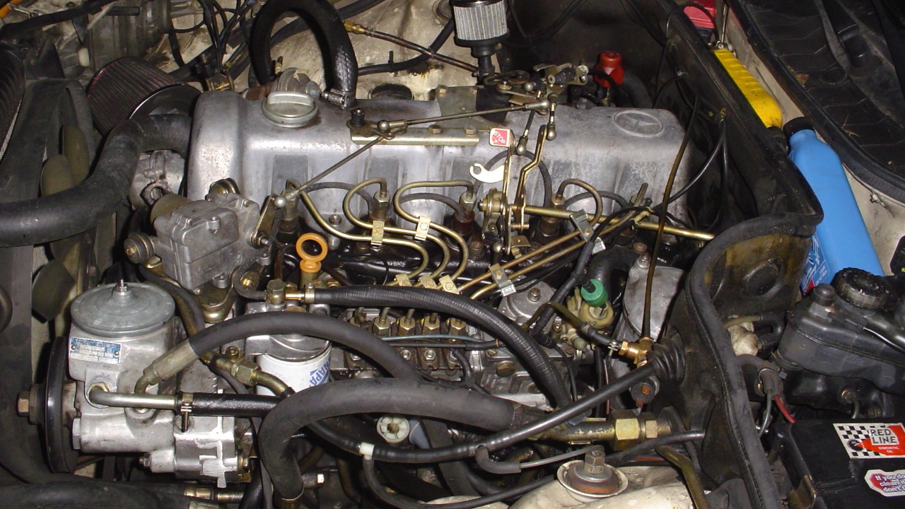 Image Credit: Sirnik at English Wikipedia - Public domain/Wiki Commons