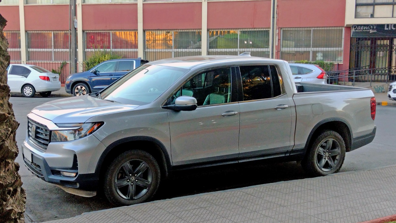 Image Credit: RL GNZLZ from Chile - CC BY-SA 2.0/Wiki Commons