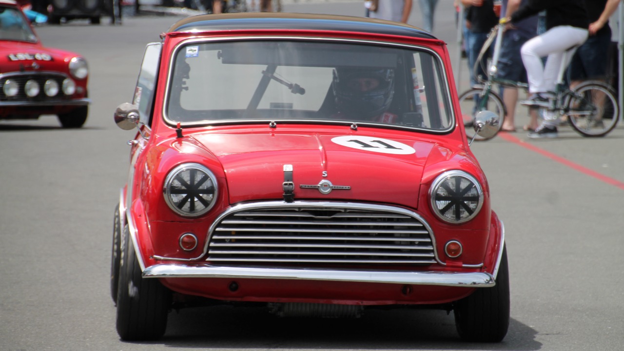 Image Credit: SarahStierch - CC BY 4.0/Wiki Commons