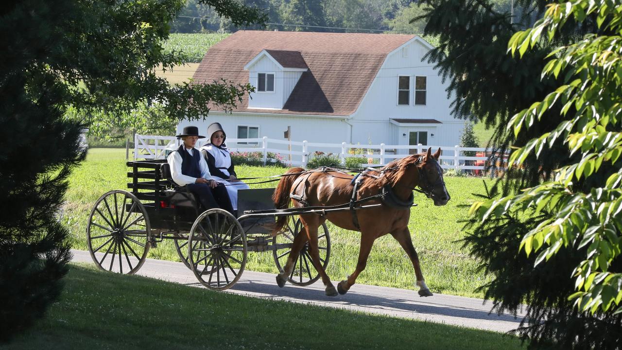 The Amish are trading their horses for E-bikes, que Wierd Al