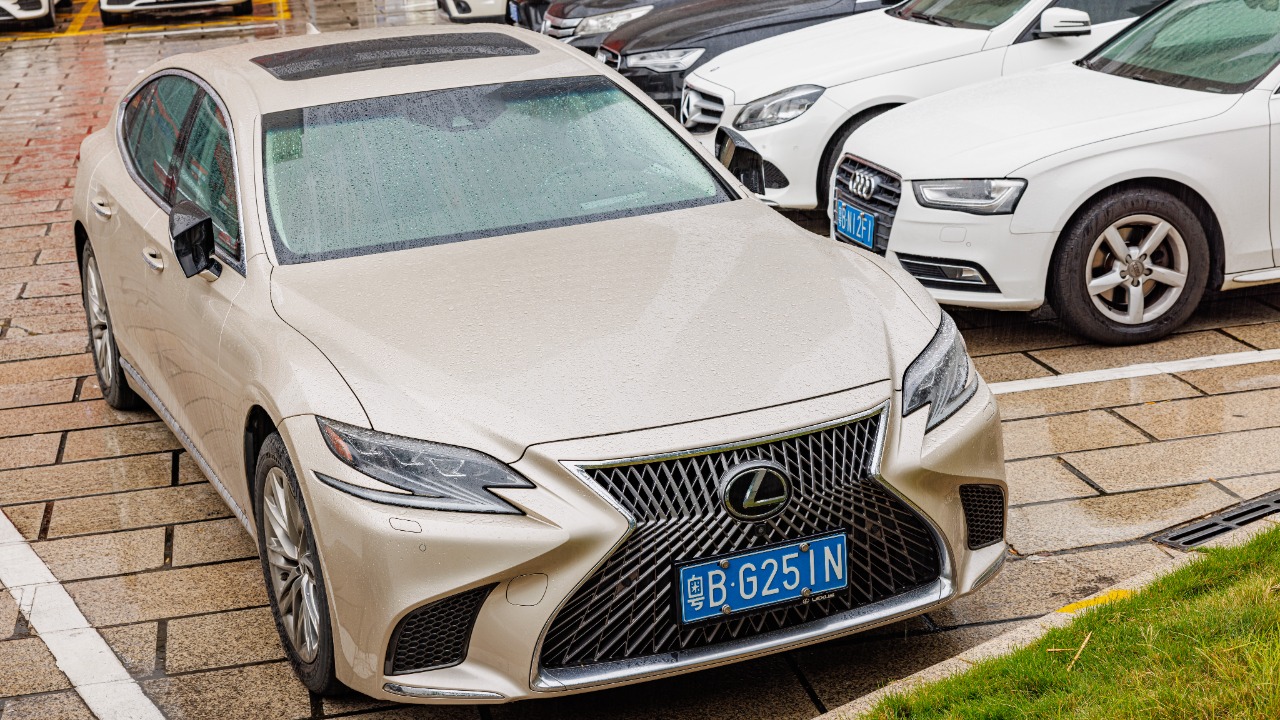 Image Credit: Dinkun Chen - CC BY-SA 4.0/Wiki Commons