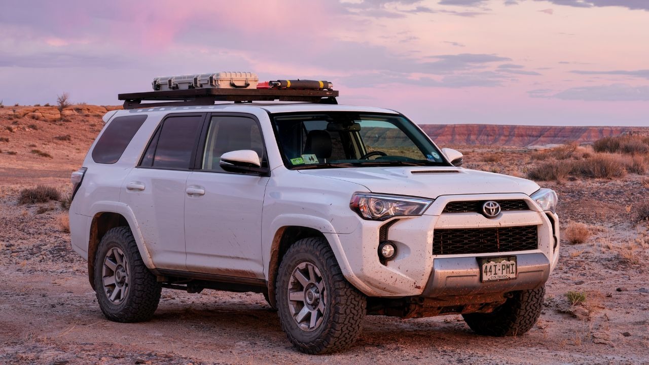 Image Credit: marekuliasz / Shutterstock.com